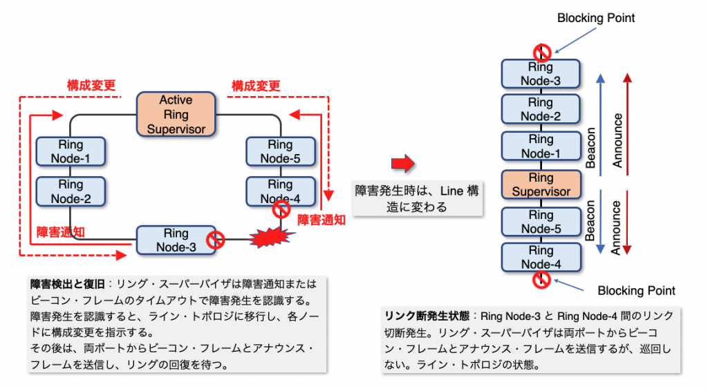 DLR リングの再構築１