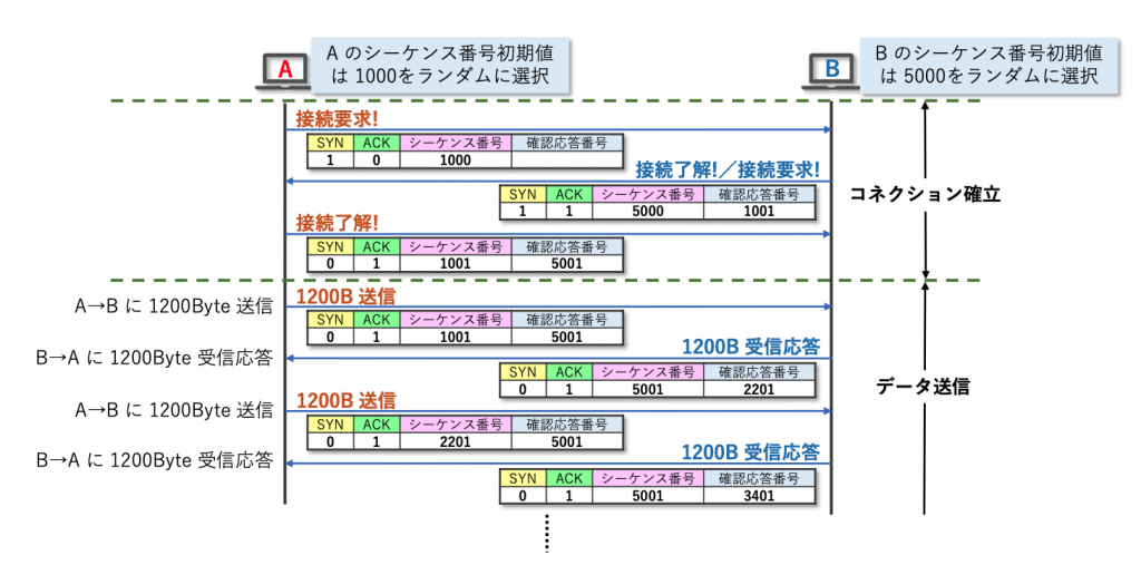 TCP 送信手順例